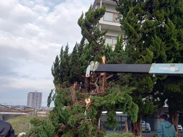 数多くの学校など自衛隊施設の施工実績あります！業界歴16年の安心対応サービスの画像