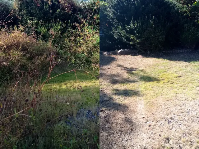 【草刈り】群馬県内指定地域密着！作業外注一切なし！サービスの画像