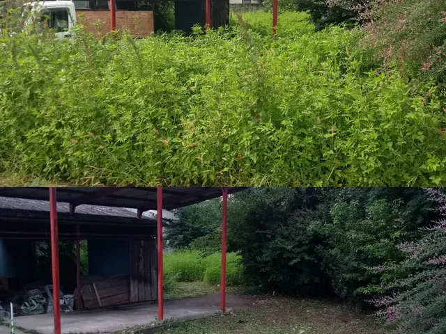 【草刈り】群馬県内指定地域密着！作業外注一切なし！サービスの画像