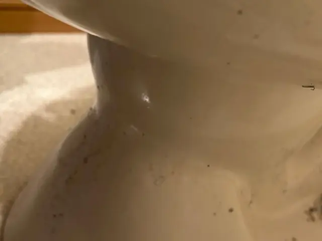 ☆確かな技術と真心を込めてお部屋を綺麗に！！☆【期間限定】出店祝いキャンペーン中サービスの画像