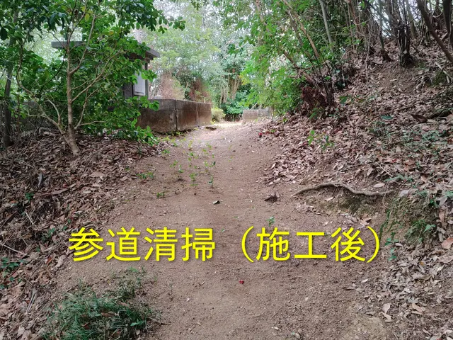【先着5名】まずはお試し15,000円｜水洗い＋写真報告｜その後本格対応可サービスの画像