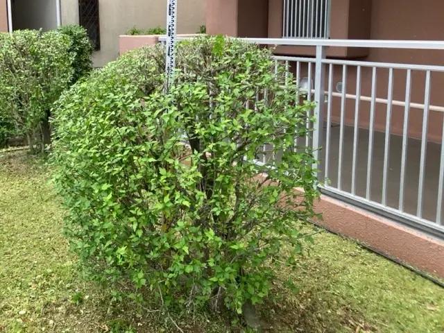 プロの技術でご満足いただけるように心を込めて作業いたしますサービスの画像