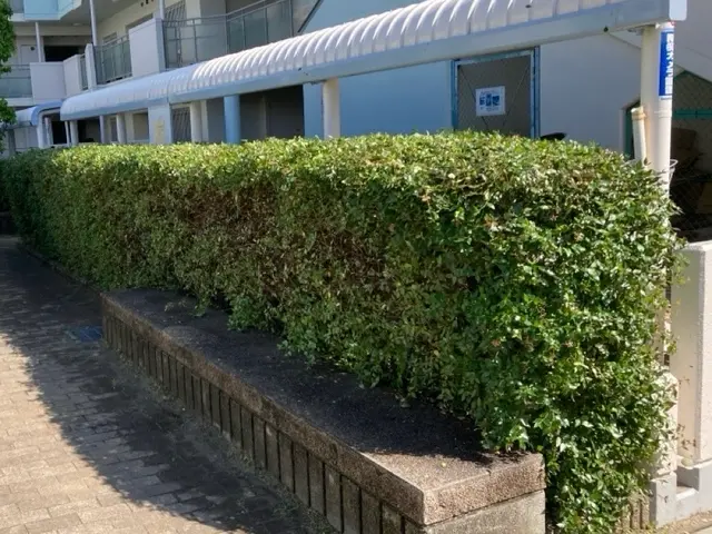 プロの技術でご満足いただけるように心を込めて作業いたしますサービスの画像