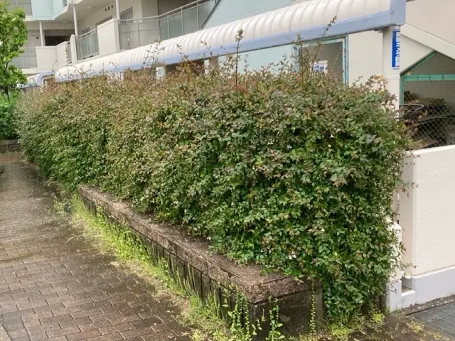 プロの技術でご満足いただけるように心を込めて作業いたしますサービスの画像