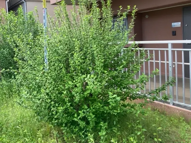 プロの技術でご満足いただけるように心を込めて作業いたしますサービスの画像