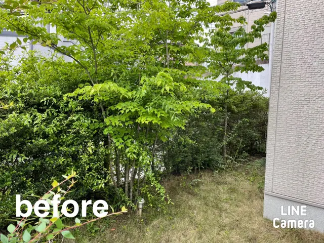 お庭を綺麗にしませんか！職人歴24年の経験と実績！私が責任を持って伺います！サービスの画像