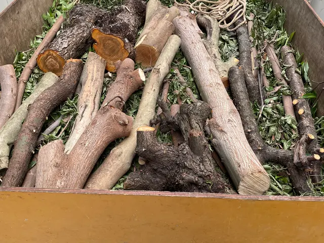 お庭を綺麗にしませんか！職人歴24年の経験と実績！私が責任を持って伺います！サービスの画像