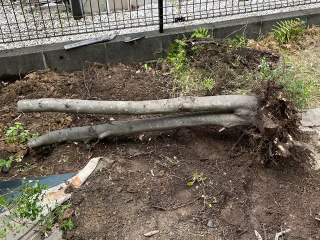 お庭を綺麗にしませんか！職人歴24年の経験と実績！私が責任を持って伺います！サービスの画像