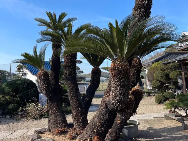 【年中無休で対応しております◎】業界30年の経験あり！店長の私が対応いたします！サービスの画像