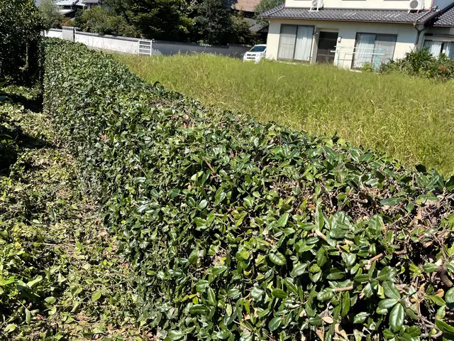 【年中無休で対応しております◎】業界30年の経験あり！店長の私が対応いたします！サービスの画像