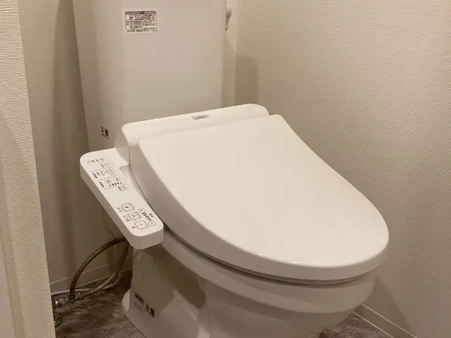 トイレ交換【処分費込み】最安値は22000円！当日対応も可能！サービスの画像