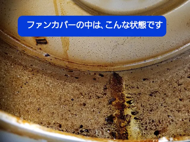 ◎ 油汚れをしっかり除去。コーティング仕上げで今後のお手入れが楽になります！サービスの画像