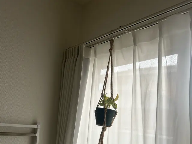 兄弟二人三脚！丁寧作業で高リピート率の信頼業者サービスの画像