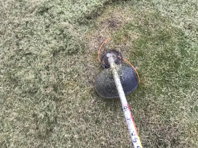 【15年の実績】空き地・空き家のお庭も管理女性スタッフ同行可能です！サービスの画像