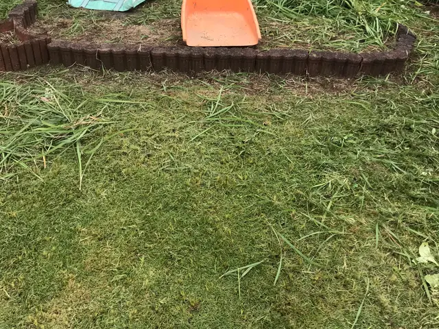 【15年の実績】空き地・空き家のお庭も管理女性スタッフ同行可能です！サービスの画像