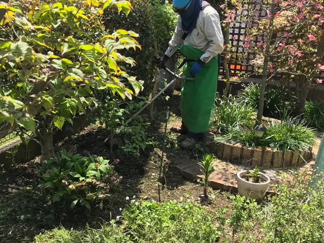 【15年の実績】空き地・空き家のお庭も管理女性スタッフ同行可能です！サービスの画像