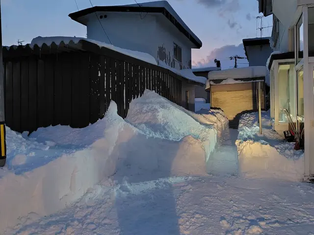 【任せて安心の楽々雪かき】北国の暮らしを完全サポート！サービスの画像