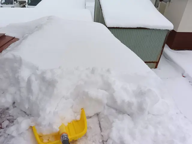 【任せて安心の楽々雪かき】北国の暮らしを完全サポート！サービスの画像