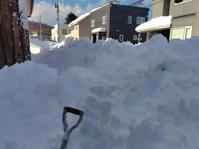 【任せて安心の楽々雪かき】北国の暮らしを完全サポート！サービスの画像