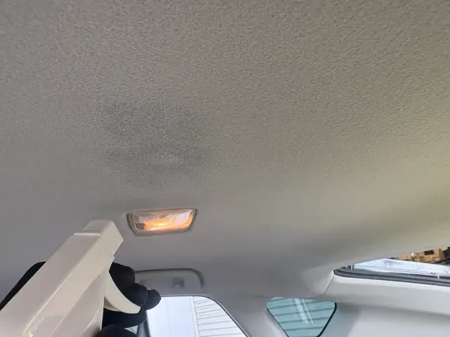 【年末大掃除したいですよね！？】専門店ならではの車内のクリーニングで車内スッキリサービスの画像