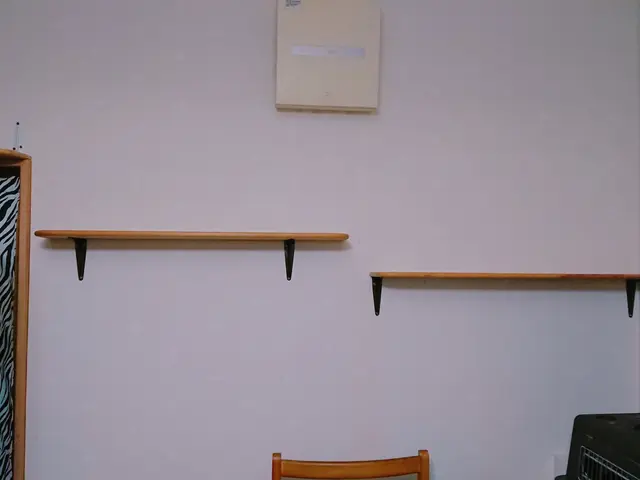 ねこドア工事承ります　それ以外のご相談もどしどしサービスの画像