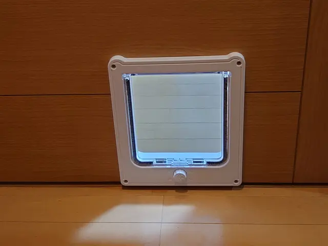 ねこドア工事承ります　それ以外のご相談もどしどしサービスの画像