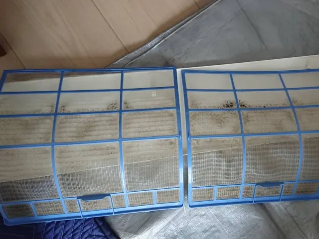 大好評！除菌サービス！【吉川市発】10.11月分ご予約受付中＼(^o^)／サービスの画像