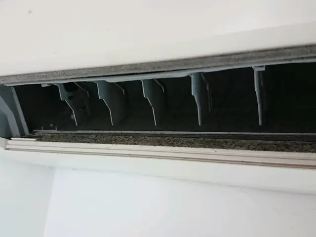 大好評！除菌サービス！【吉川市発】10.11月分ご予約受付中＼(^o^)／サービスの画像