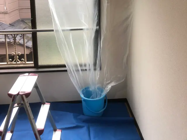 ★口コミ505件★作業実績3000台以上★小さなお子様OK!動物OK!11月空有サービスの画像