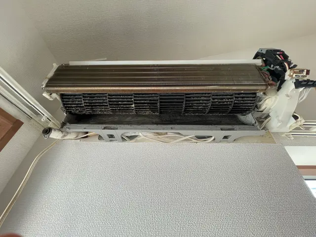 経験10年。非喫煙者。子供とペットに配慮した1児のパパが丁寧に対応。抗菌コート付サービスの画像