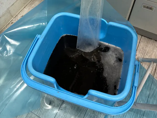 経験10年。非喫煙者。子供とペットに配慮した1児のパパが丁寧に対応。抗菌コート付サービスの画像