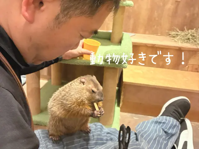 経験10年。非喫煙者。子供とペットに配慮した1児のパパが丁寧に対応。抗菌コート付サービスの画像