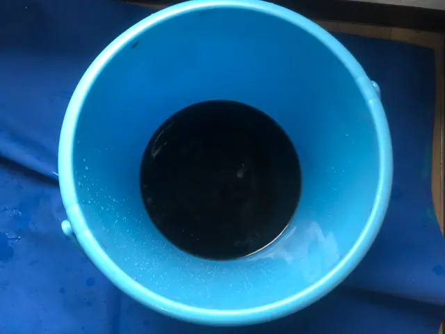 ★口コミ505件★作業実績3000台以上★小さなお子様OK!動物OK!11月空有サービスの画像