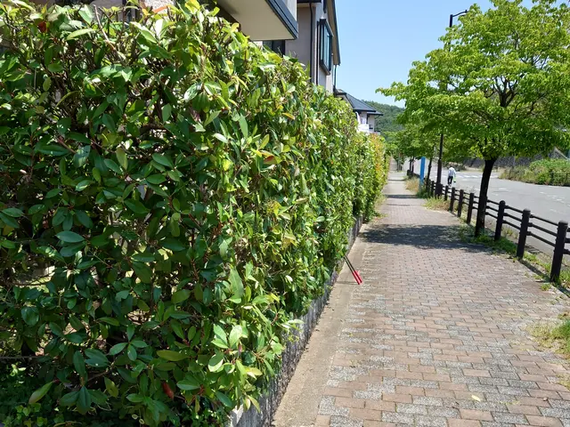 【29年の経験実績】自信の完全自社施工◎アフターケアも力入れてます！サービスの画像