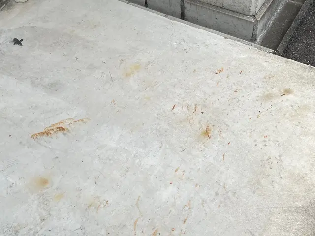 《業界歴20年》処理し切れない大量の落ち葉も！落ち葉清掃回収作業 カード決済可サービスの画像