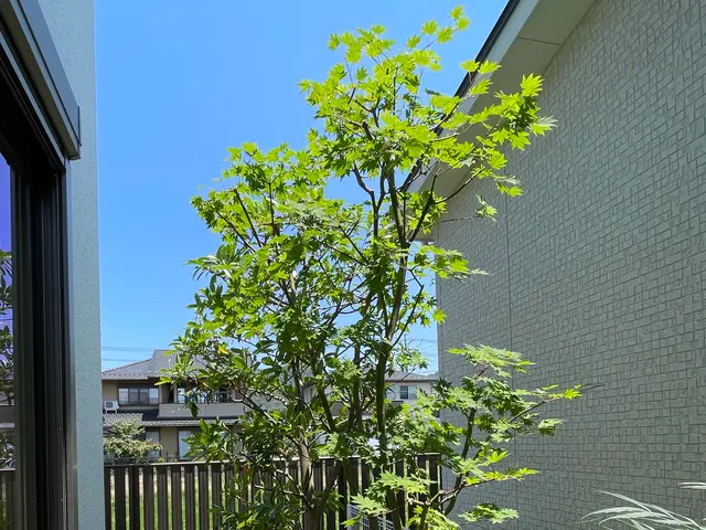 【岐阜羽島の植木屋】初めての方にも丁寧にご案内！地域密着で安心！サービスの画像