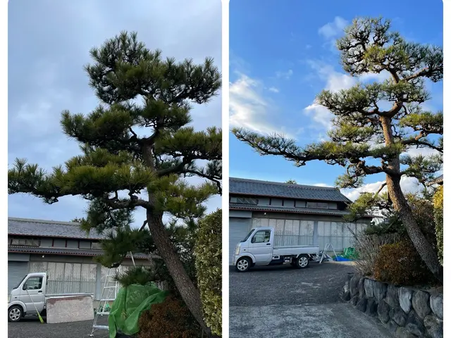 【岐阜羽島の植木屋】初めての方にも丁寧にご案内！地域密着で安心！サービスの画像