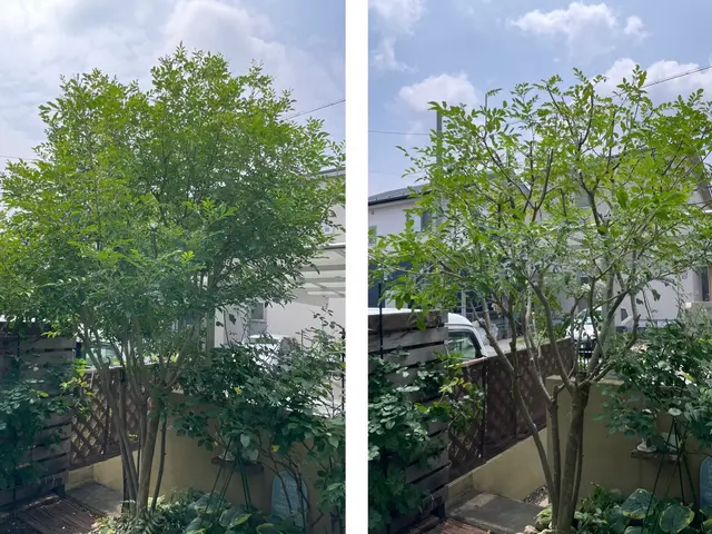 【岐阜羽島の植木屋】初めての方にも丁寧にご案内！地域密着で安心！サービスの画像