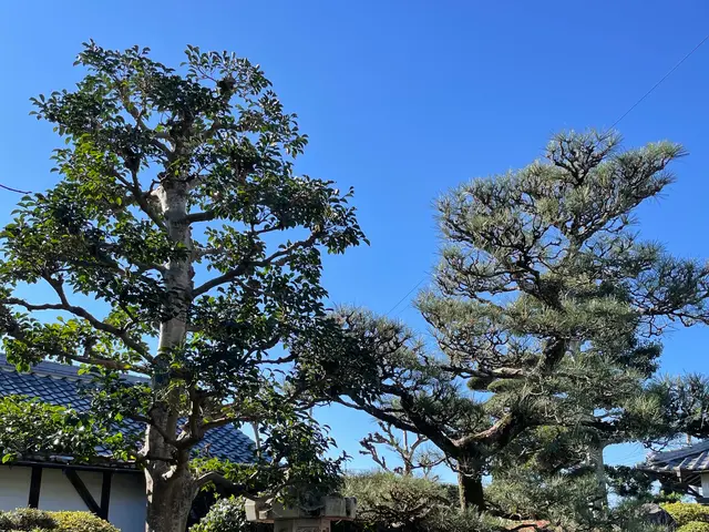 【岐阜羽島の植木屋】初めての方にも丁寧にご案内！地域密着で安心！サービスの画像