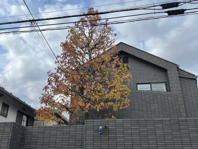 【樹木の剪定、伐採】埼玉県発！業界10年以上の経験を活かしてご対応します！サービスの画像