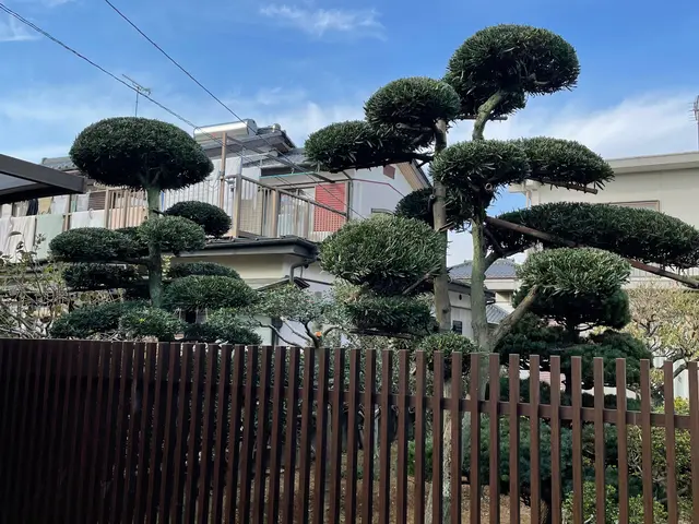 【樹木の剪定、伐採】埼玉県発！業界10年以上の経験を活かしてご対応します！サービスの画像