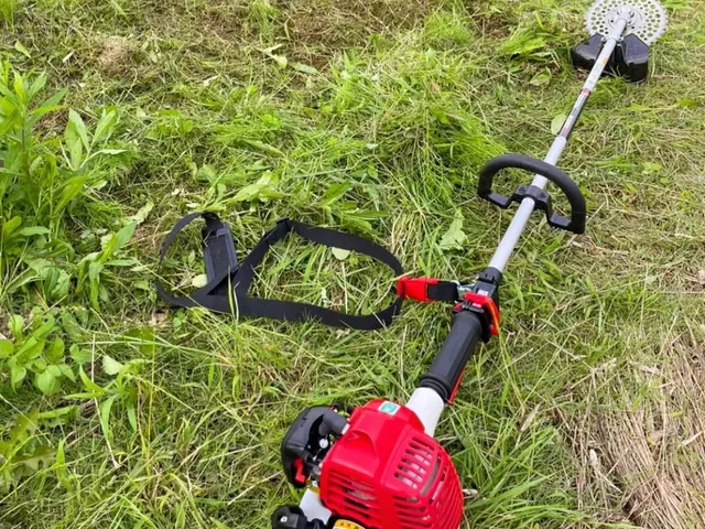 【安心低価格】空き家、空地、お庭の草刈りはプロにお任せください！立ち会い不要！サービスの画像