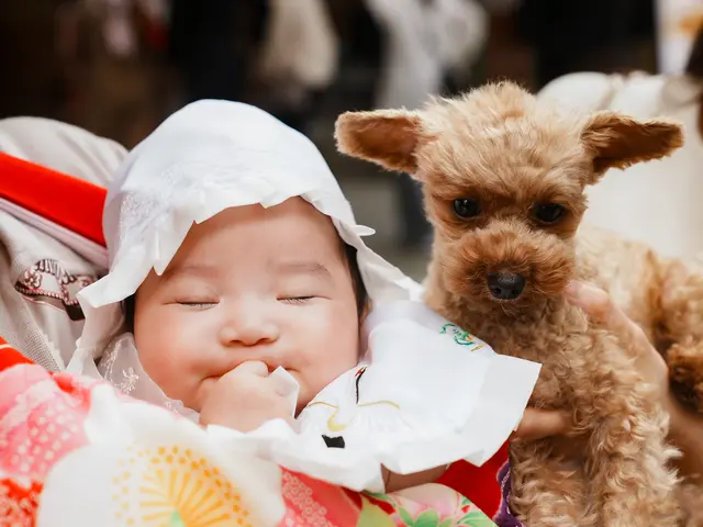 『かけがえのない時間』をプロの技術で優しく素敵に。記憶に残る写真をお約束します。