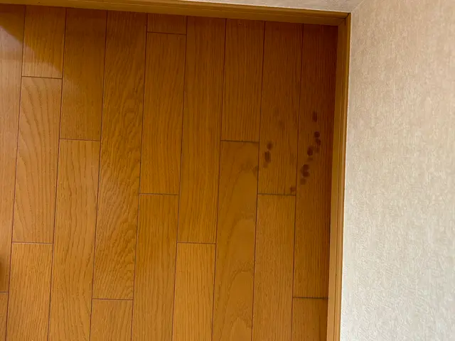 経験4年の実績！大手不動産会社も信頼する床の傷・黒ずみ完全修復サービスサービスの画像