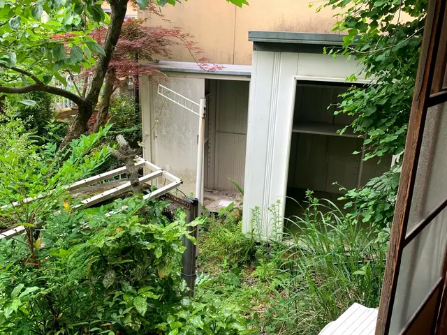 【お家周りを綺麗に】伐採から処分、仕上げまでお任せください☆サービスの画像