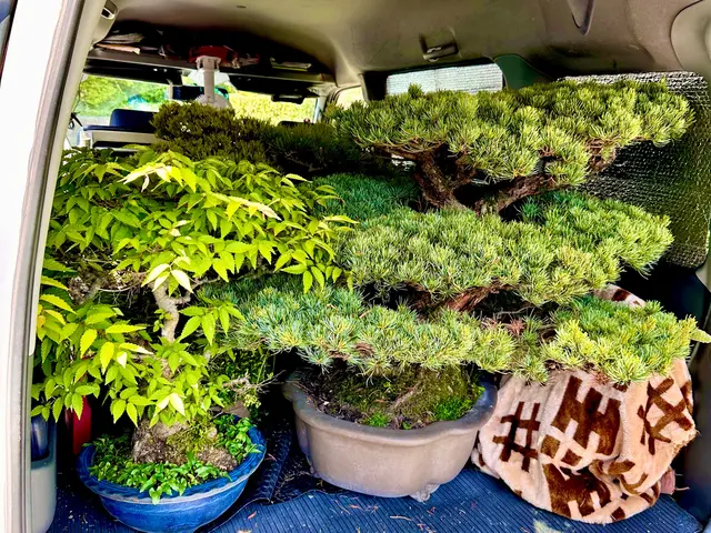 福岡久留米市発！クレカ、QRコード決済可能！◆年中無休◎女性スタッフ同行可◎サービスの画像