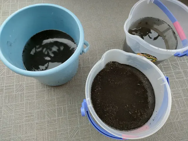 施工実績1000件以上！大手ハウスクリーニング経験者の安心で丁寧なクリーニング！サービスの画像