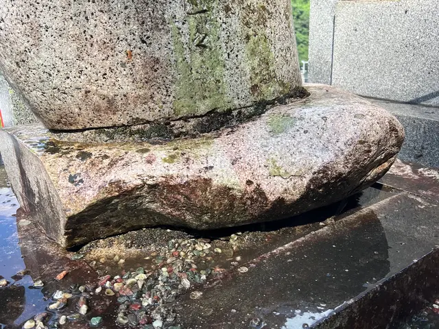 墓石の清掃致します！サービスの画像