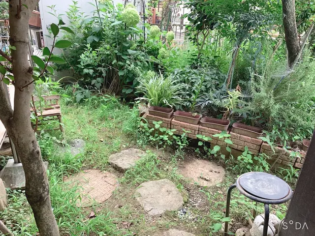 草が伸びる時期です！立ち合いなし、空き家なども対応いたしますサービスの画像