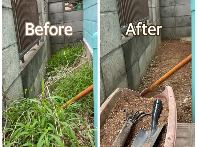 草が伸びる時期です！立ち合いなし、空き家なども対応いたしますサービスの画像